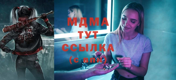 прущие грибы Баксан