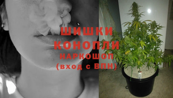 прущие грибы Баксан