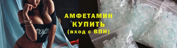 прущие грибы Баксан