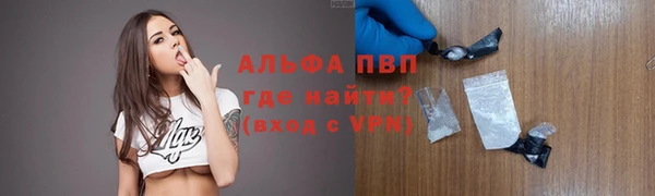 прущие грибы Баксан