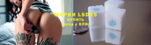 прущие грибы Баксан