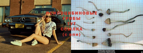 гидра Балахна