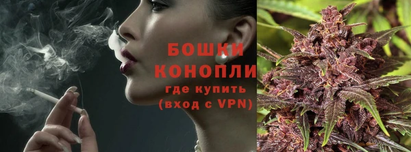 прущие грибы Баксан